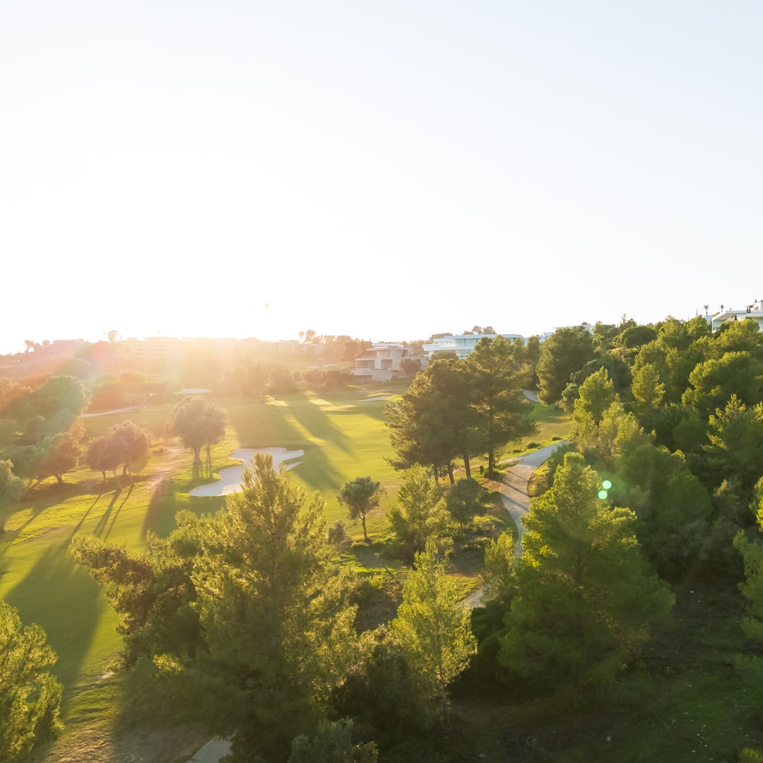 Sunlit parkland fairways surrounded by pines at Palmares Golf, Lagos, Algarve, Portugal