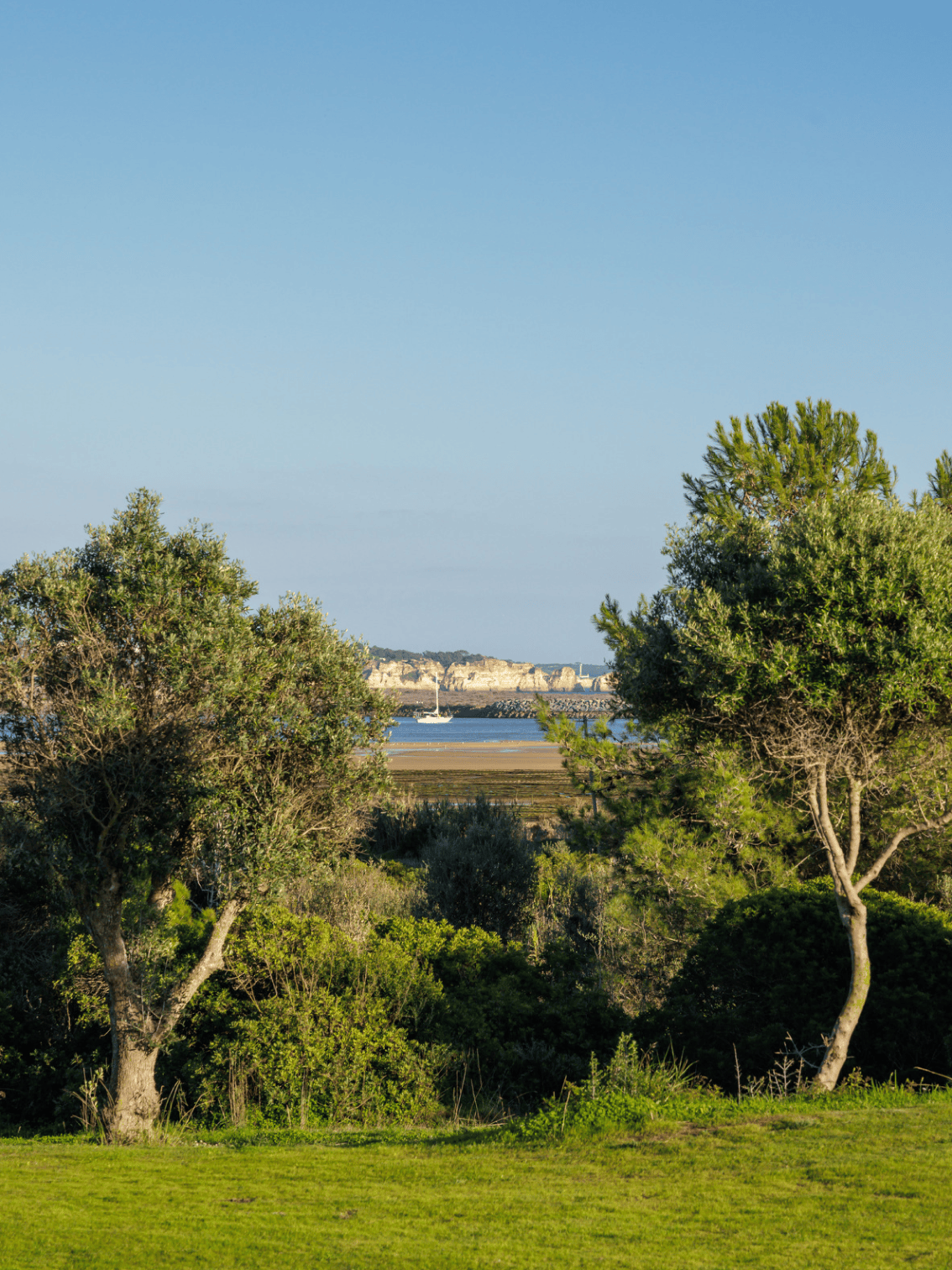 Campo de golfe do Palmares com vista aérea para o oceano Atlântico ao fundo.