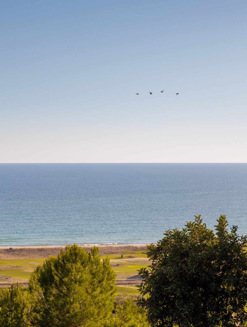 golf algarve sea views