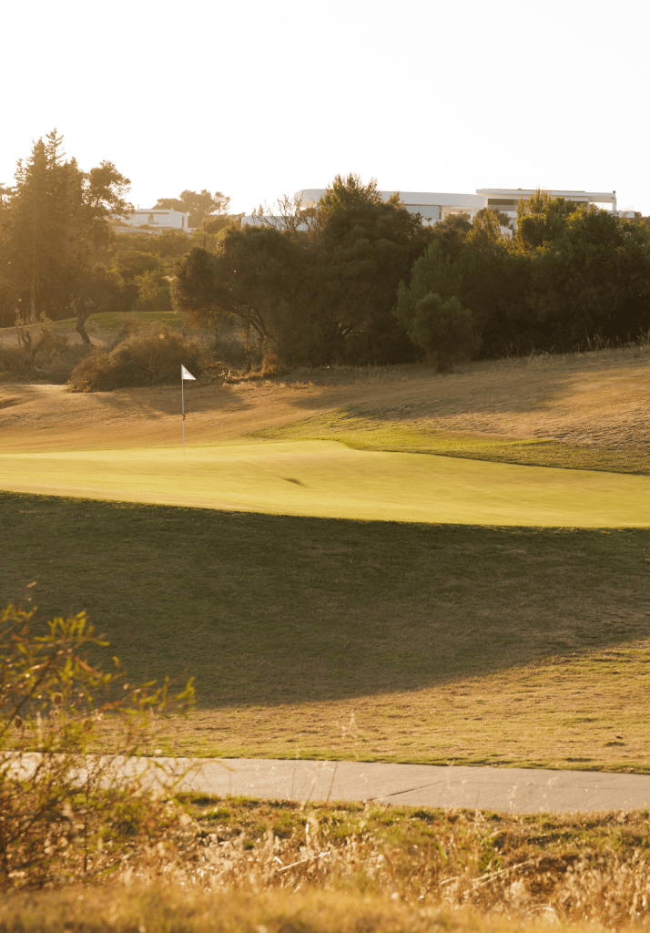 palmares-golfe-green-final-tarde-algarve-ambiente-natural