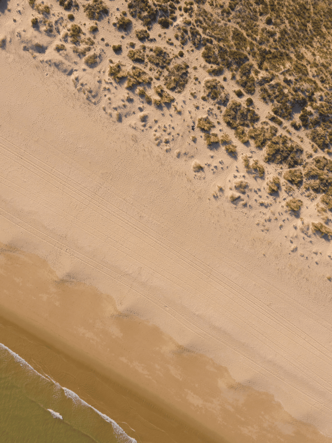 palmares-living-praia-pegadas-vegetacao-dunas