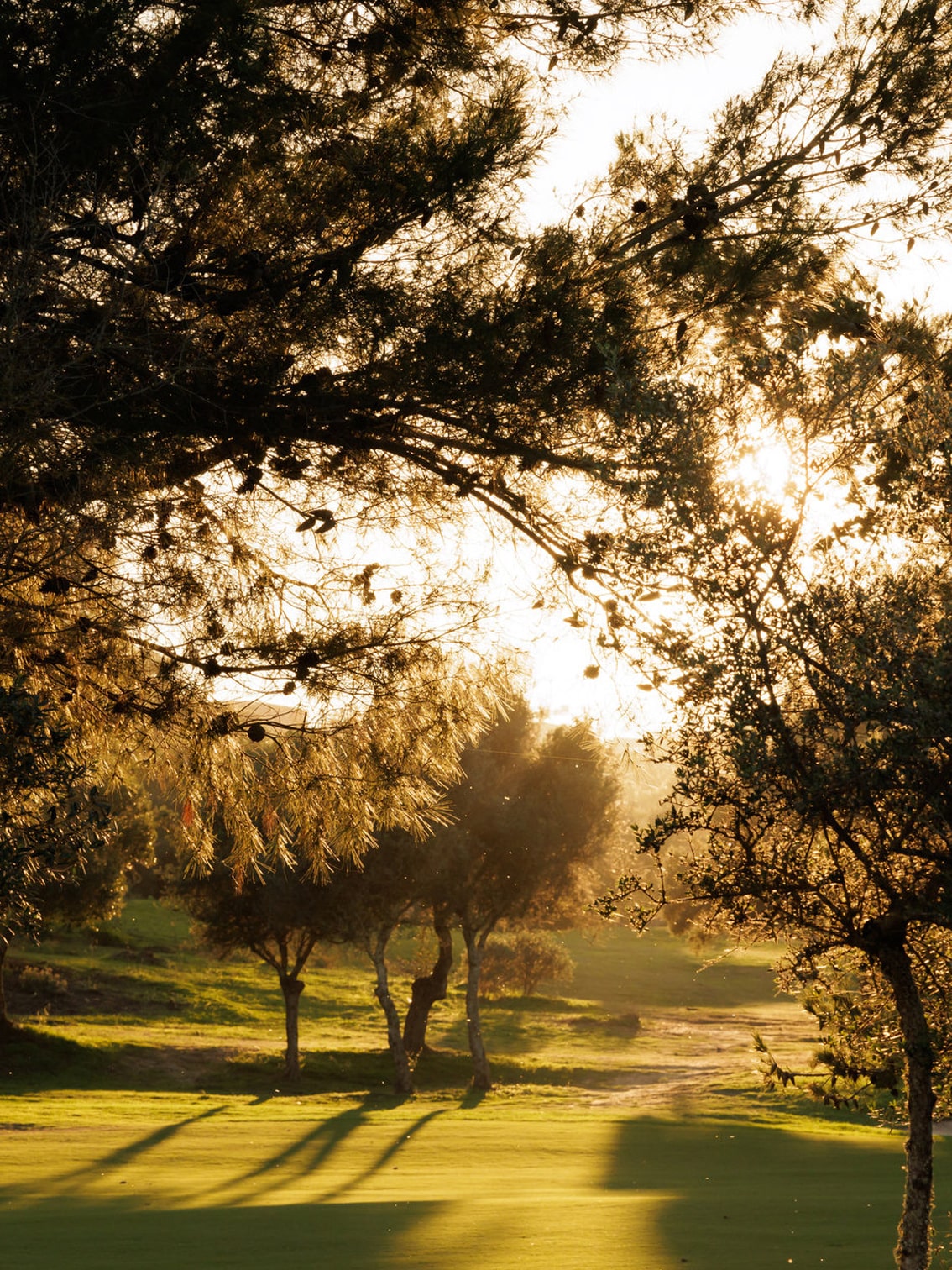 slider-golf-palmares-5-min