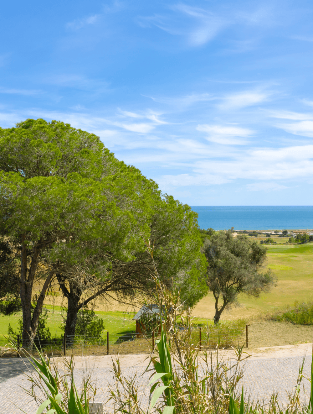 Vista ampla de terreno arborizado em Palmares com campo de golfe e mar ao fundo, em harmonia com a natureza.