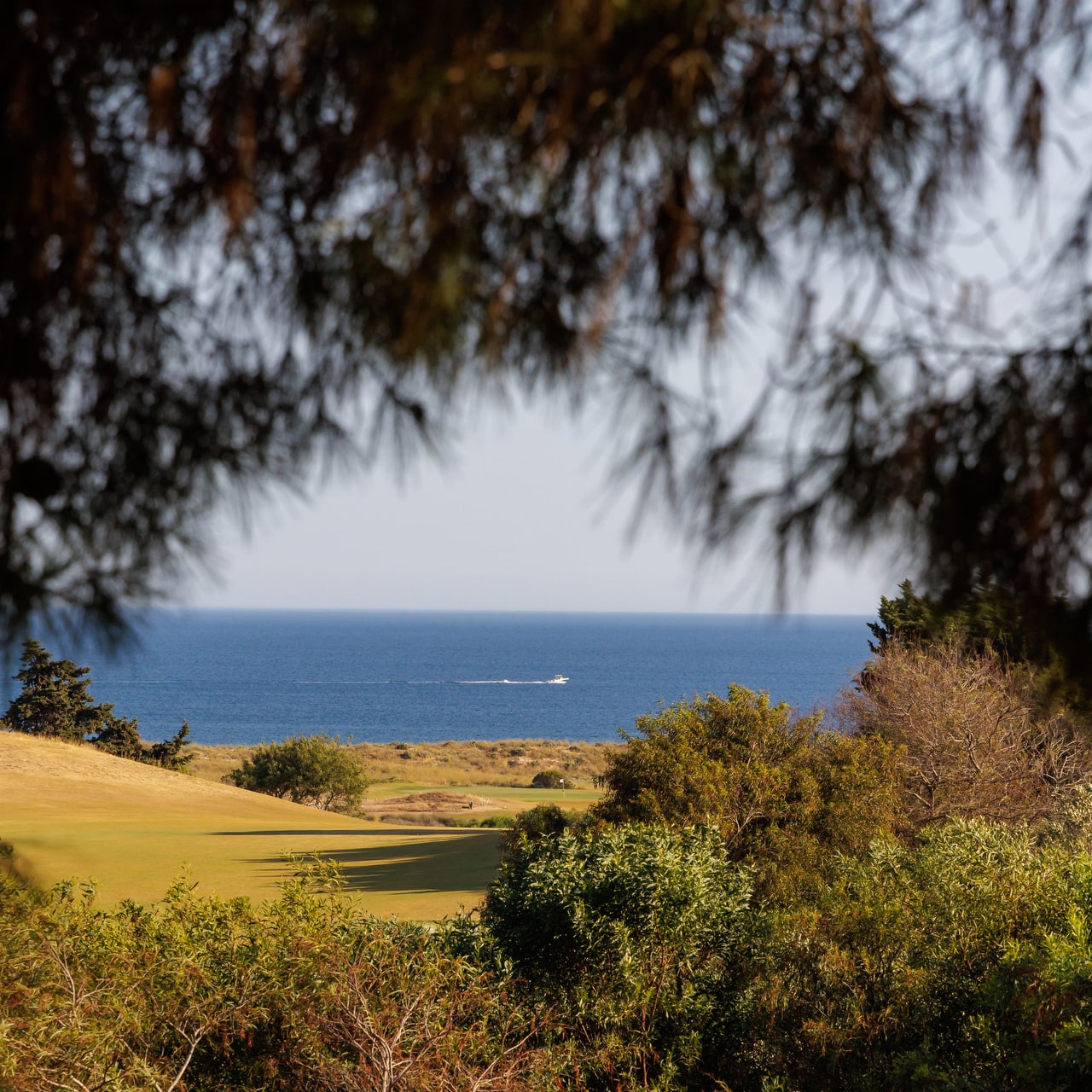 palmares entre o golfe e o mar
