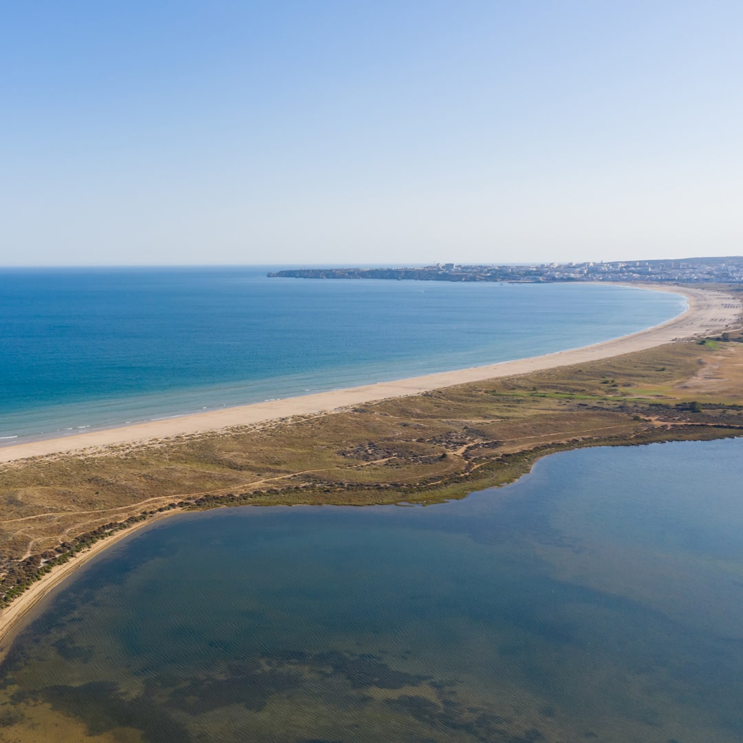 palmares lagos views