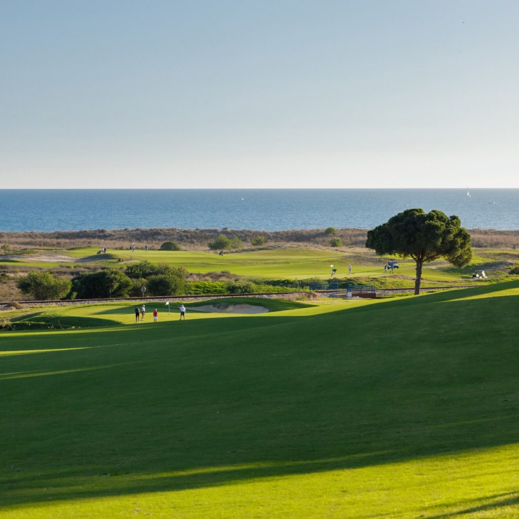 palmares golf course stuning views