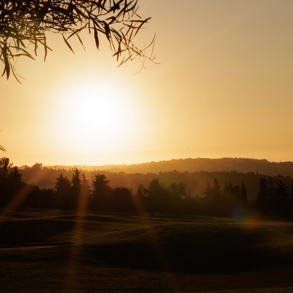 palmares golf golden hour